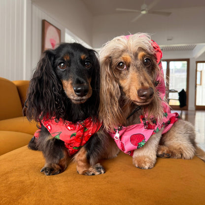 Strawberries / Cherry: Reversible Dog Raincoat