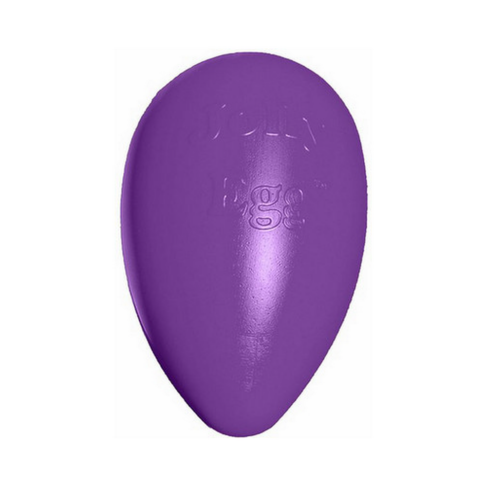 Jolly Pet Jolly Egg 8" Purple