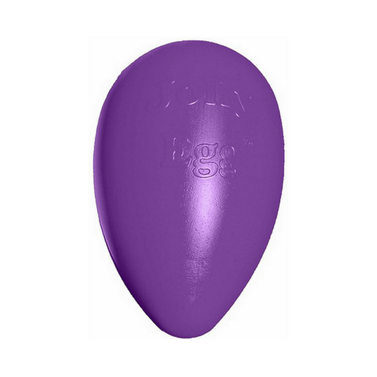 Jolly Pet Jolly Egg 8" Purple