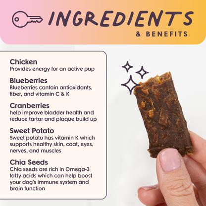 Rise & Shine Chicken Superfood Jerky Bars for Dogs 5oz: 5oz
