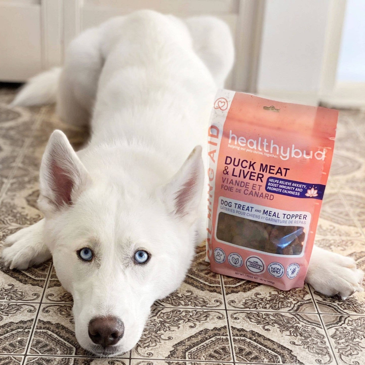 Healthybud's Functional Duck Dog Treats: 4.6oz