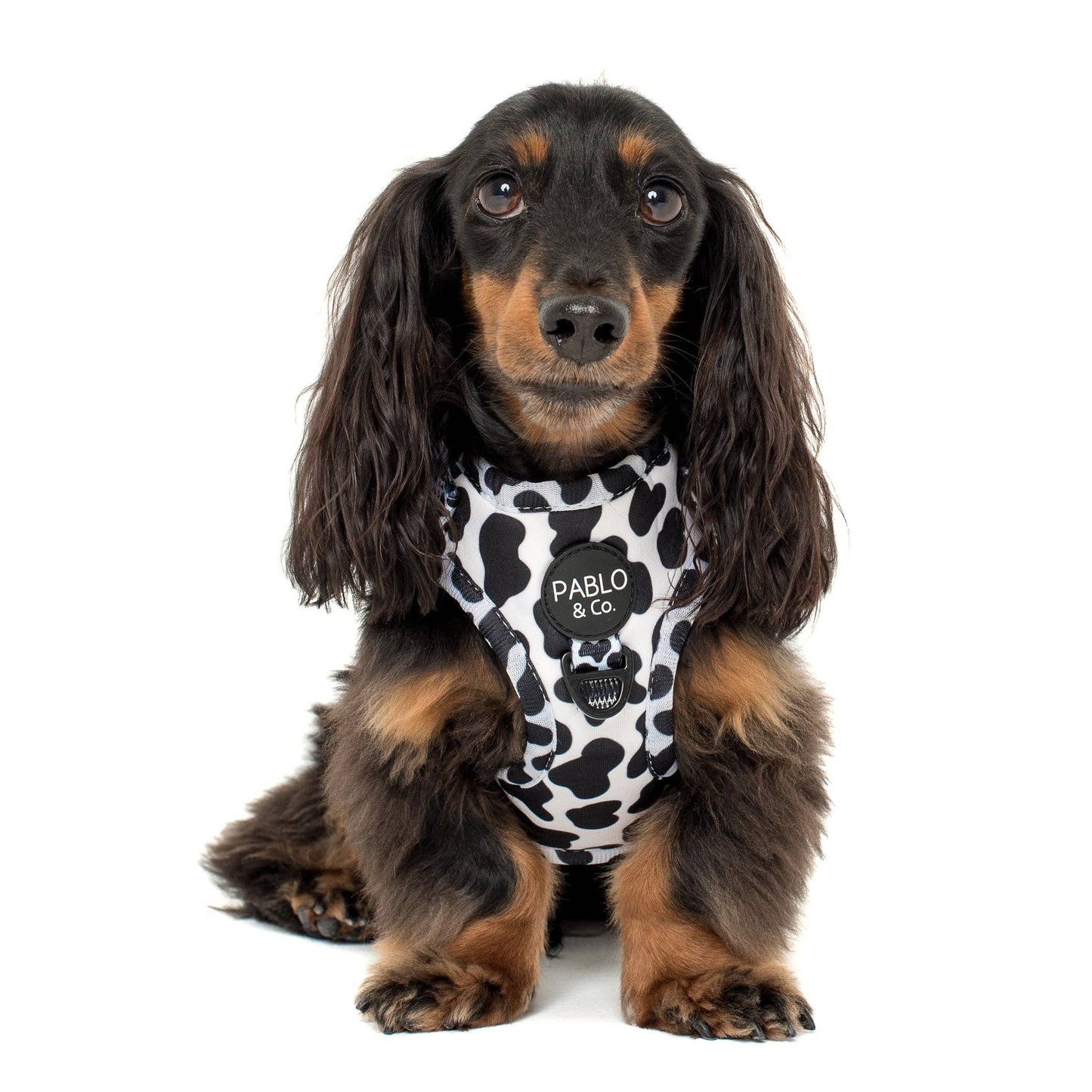 Moo Moo Dog Harness