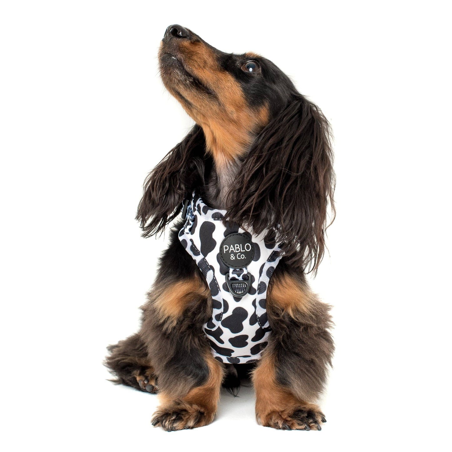 Moo Moo Dog Harness