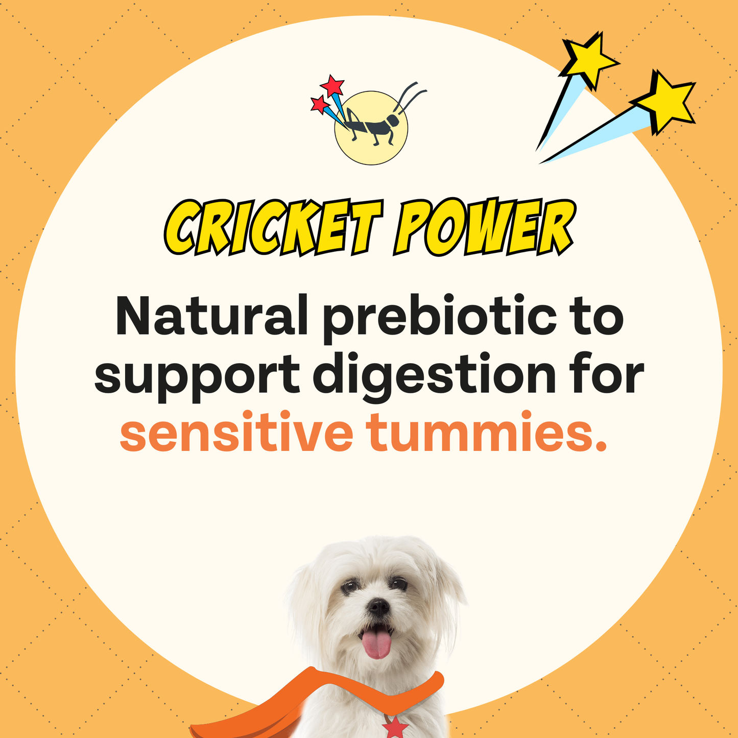 Chippin Sweet Potato Cricket Carrot Soft Dog Treat