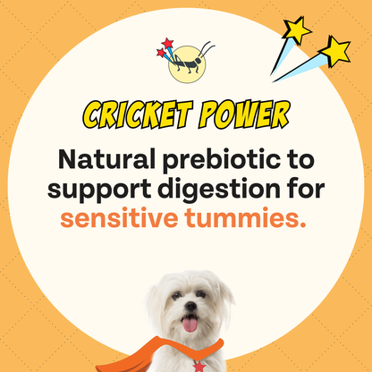 Chippin Sweet Potato Cricket Carrot Soft Dog Treat