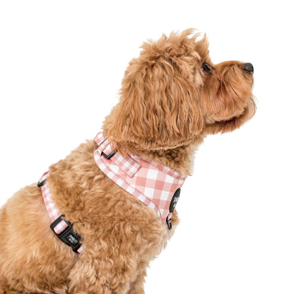 Chocolate Gingham Dog Harness