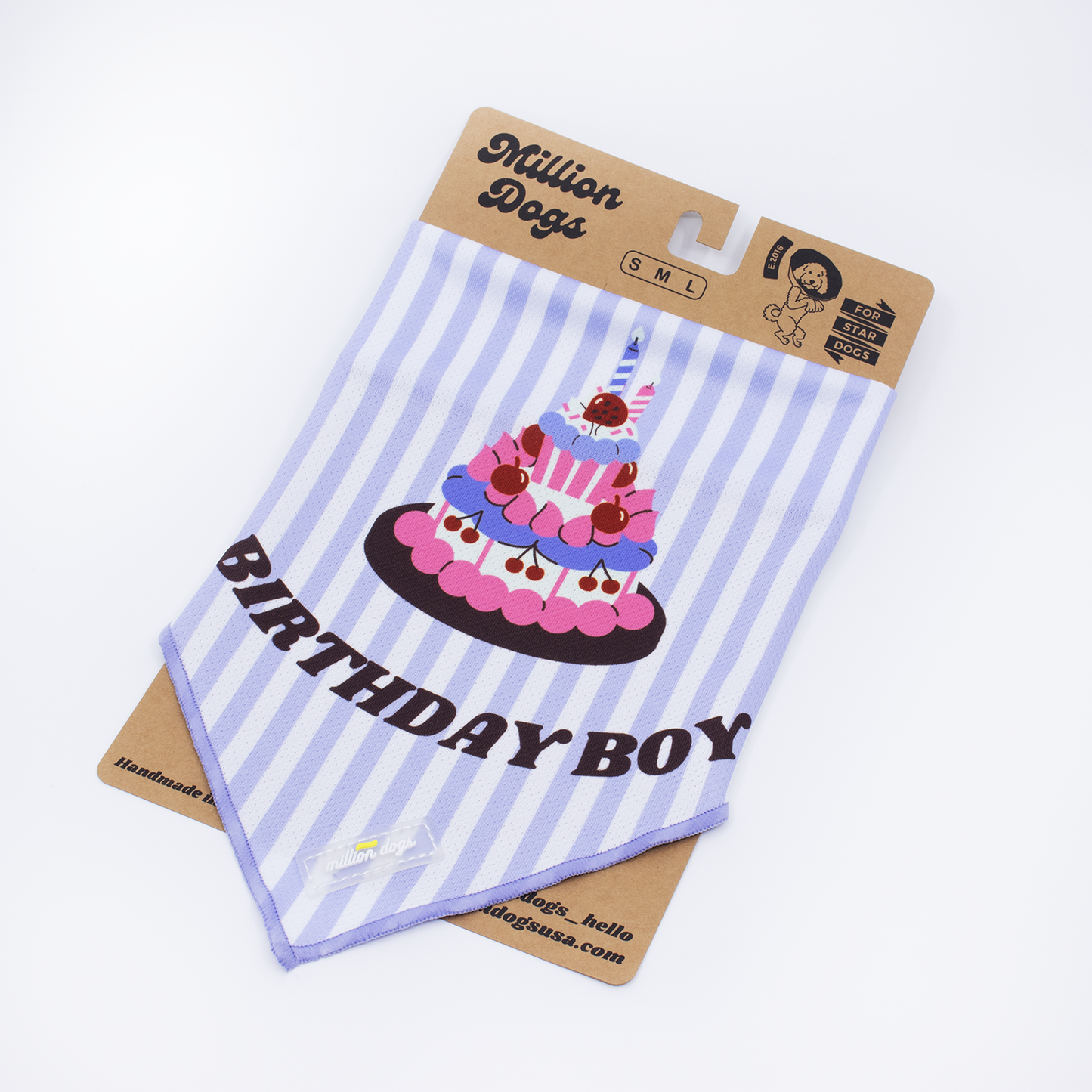 Dog Bandana - Birthday Boy