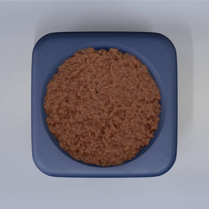 Freezbox Durable Eco-Friendly Pet Chew Toy: Navy