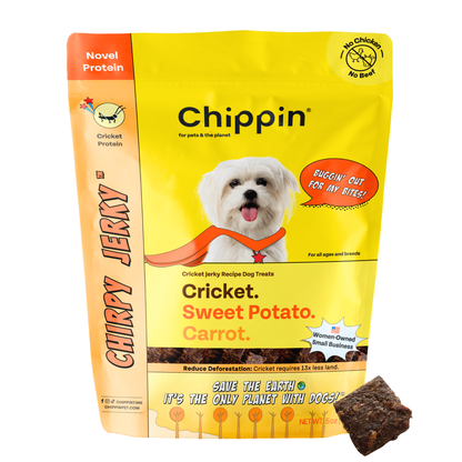Chippin Sweet Potato Cricket Carrot Soft Dog Treat