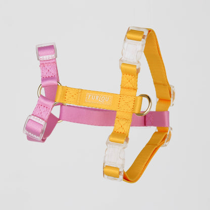 Yellow + Pink - Dog Harness