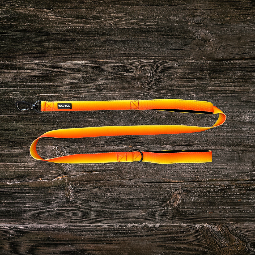 Double Handle Sunset Trail Leash