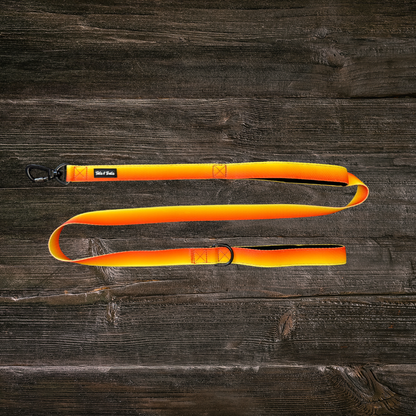 Double Handle Sunset Trail Leash