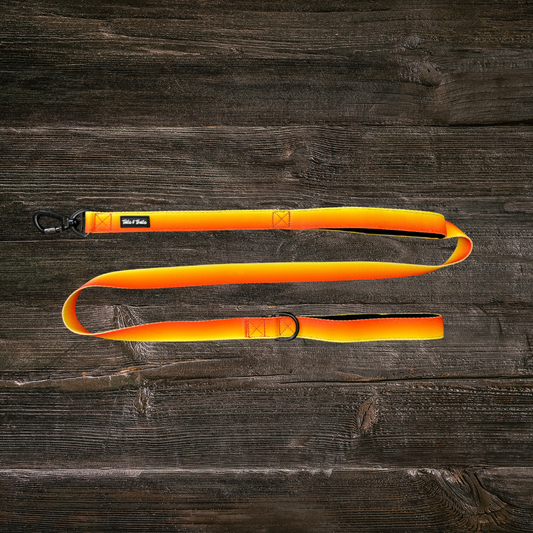 Double Handle Sunset Trail Leash