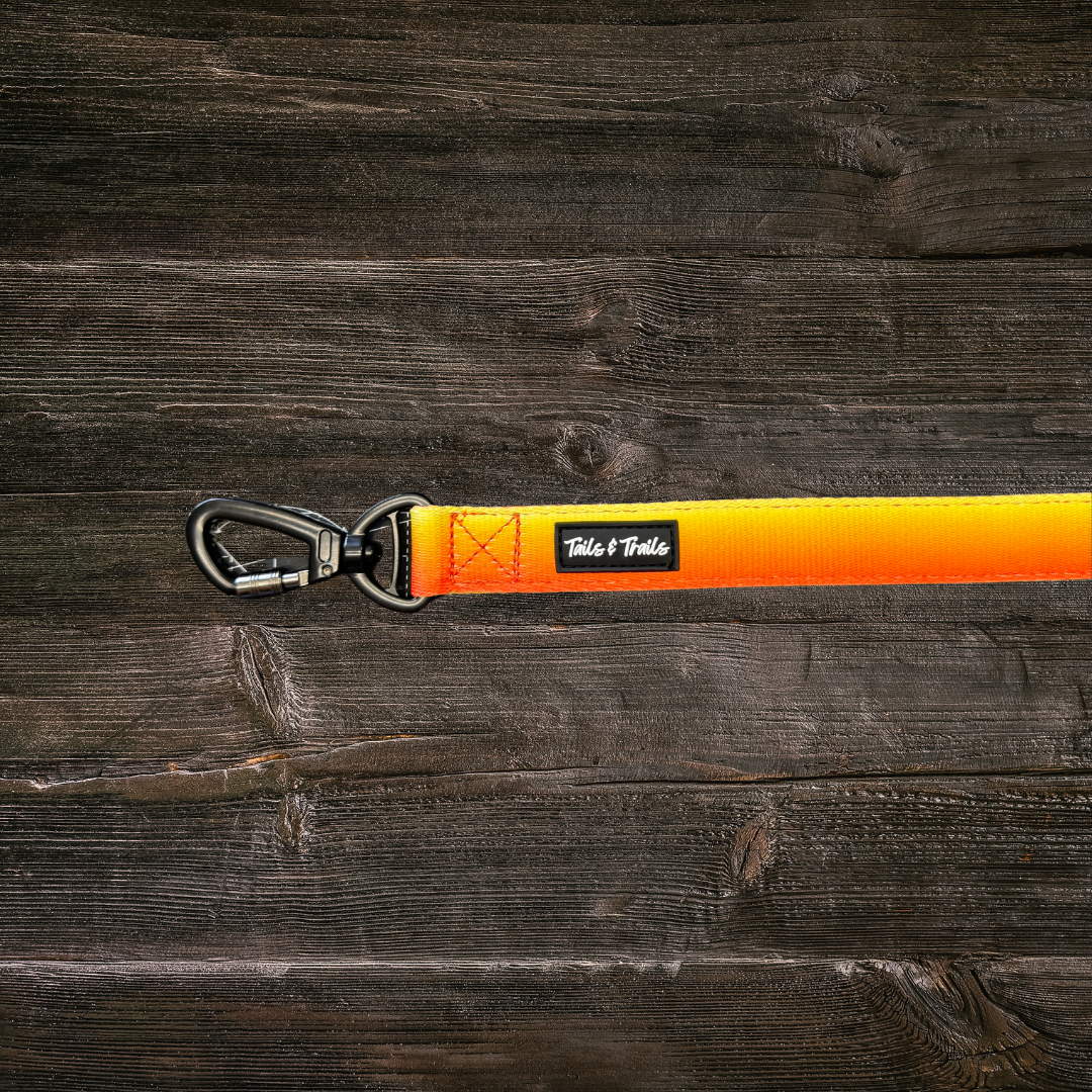 Double Handle Sunset Trail Leash