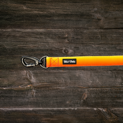 Double Handle Sunset Trail Leash