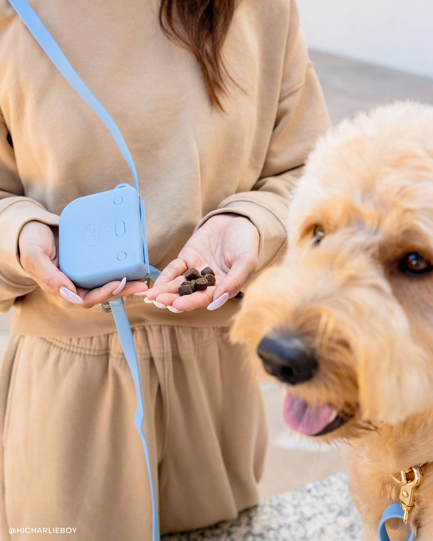 Dandelion Yellow Snap Dog Treat Pouch