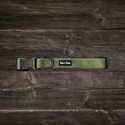 Cedar Trail Dog Collar: Medium