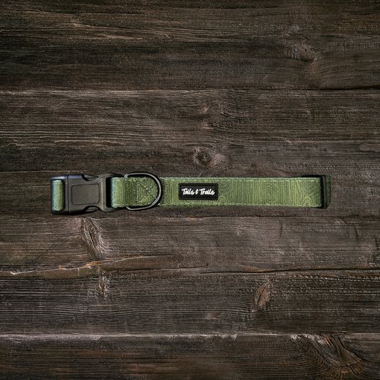 Cedar Trail Dog Collar: Medium