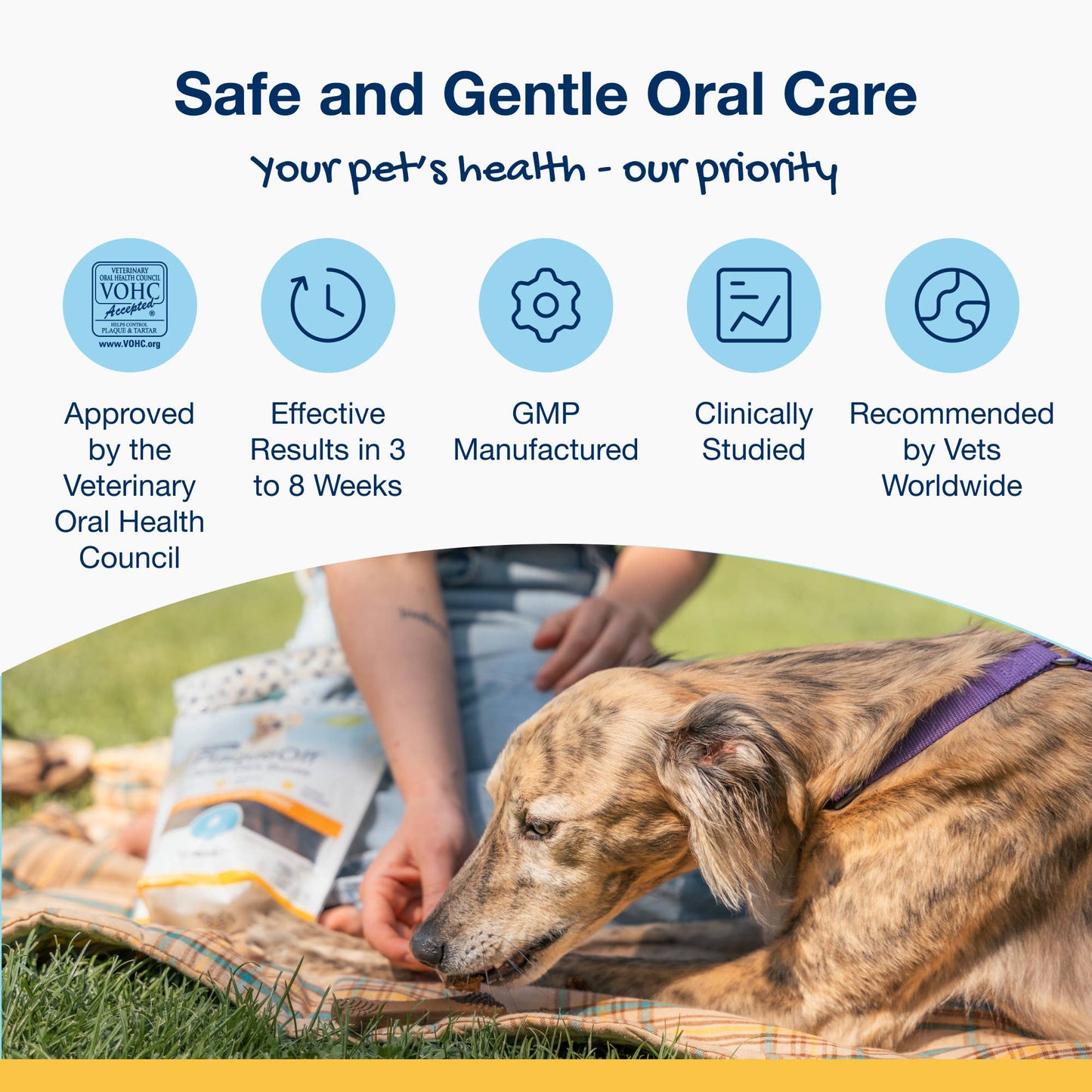 ProDen PlaqueOff System™ Dental Care Bones SINGLE- Bacon