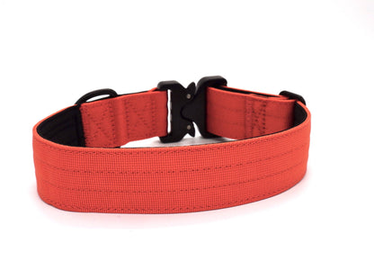 Burnt Orange Premium Dog Collar