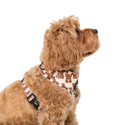 Teddy Bears Picnic Dog Harness