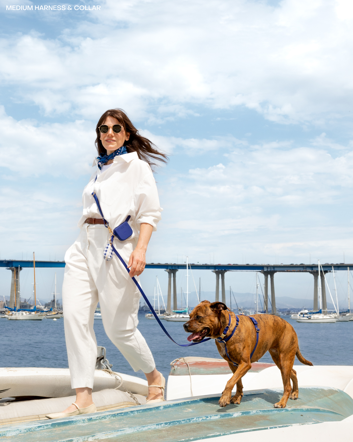 Signature Navy 4-in-1 Convertible Hands Free Cloud Dog Leash: Standard