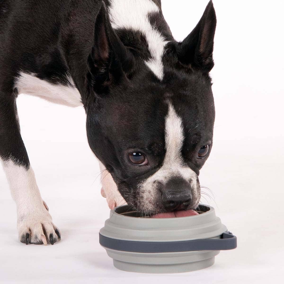 Nomad Collapsible Dog Bowl - Two Sizes Available: Grey Silicone / Large