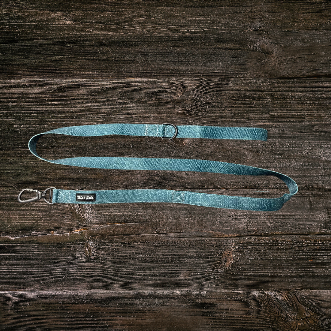 Double Handle Evergreen Trail Leash
