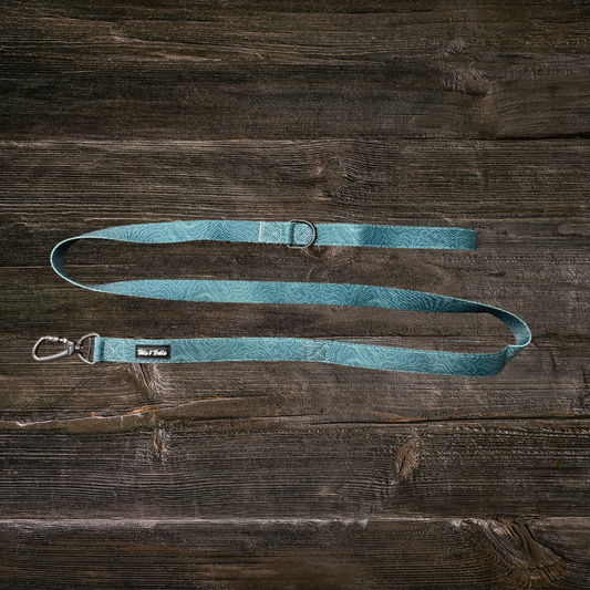 Double Handle Evergreen Trail Leash