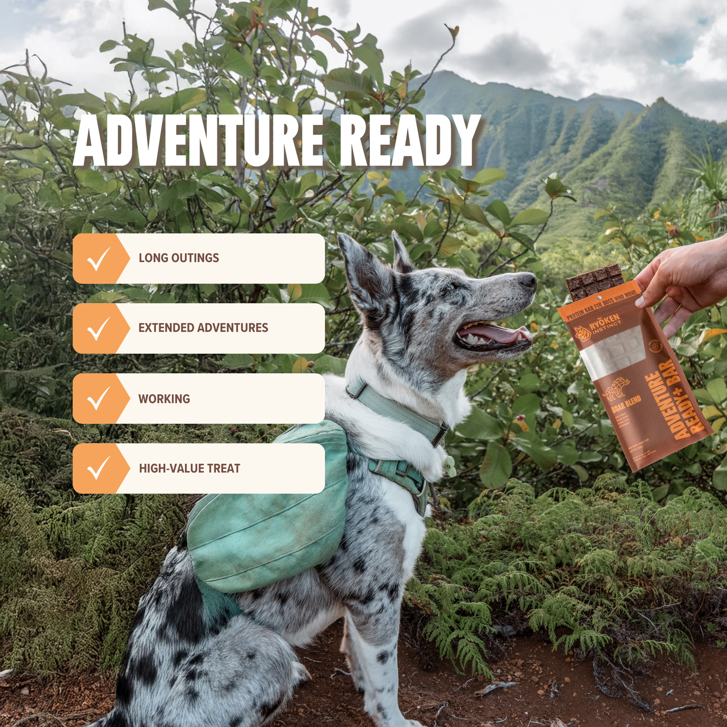 Ryoken Boar Treat & Snack Bar for Dogs