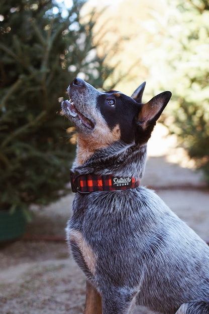 Outback Hound Classic Plaid Dog Collar