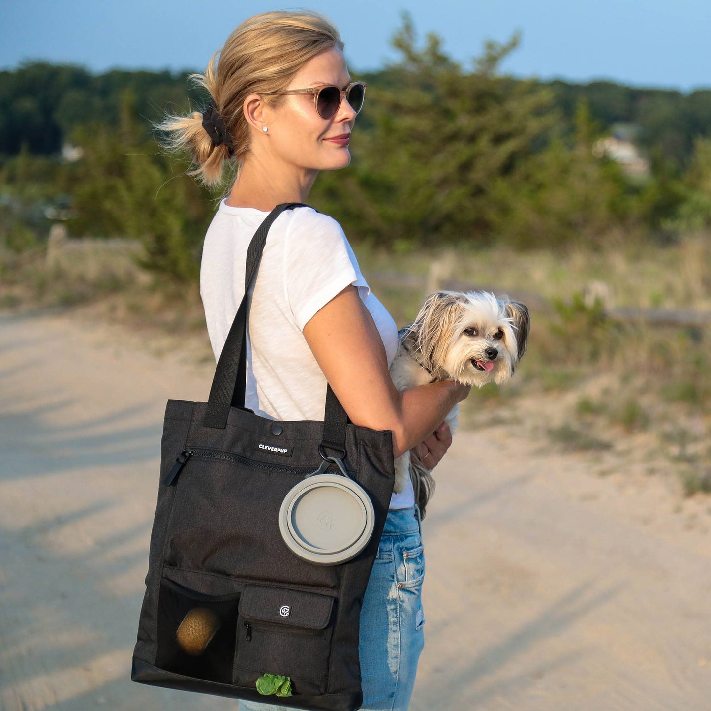 Park Pack Dog Gear Tote:Travel Bowl, Treat Pouch, Toy Pocket: Check