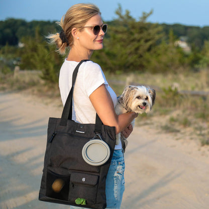 Park Pack Dog Gear Tote:Travel Bowl, Treat Pouch, Toy Pocket: Check