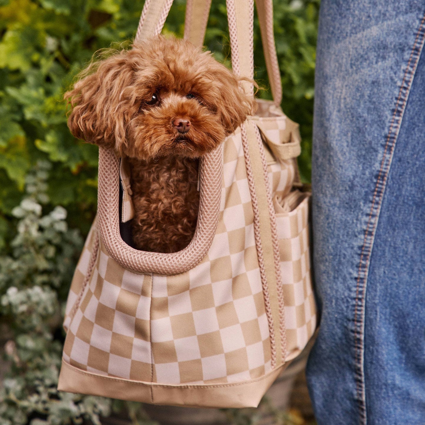 Transit Tote Dog Carrier - Two Sizes Available: Sand / Small