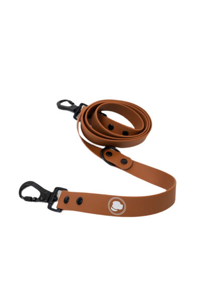 Coco Brown Leash