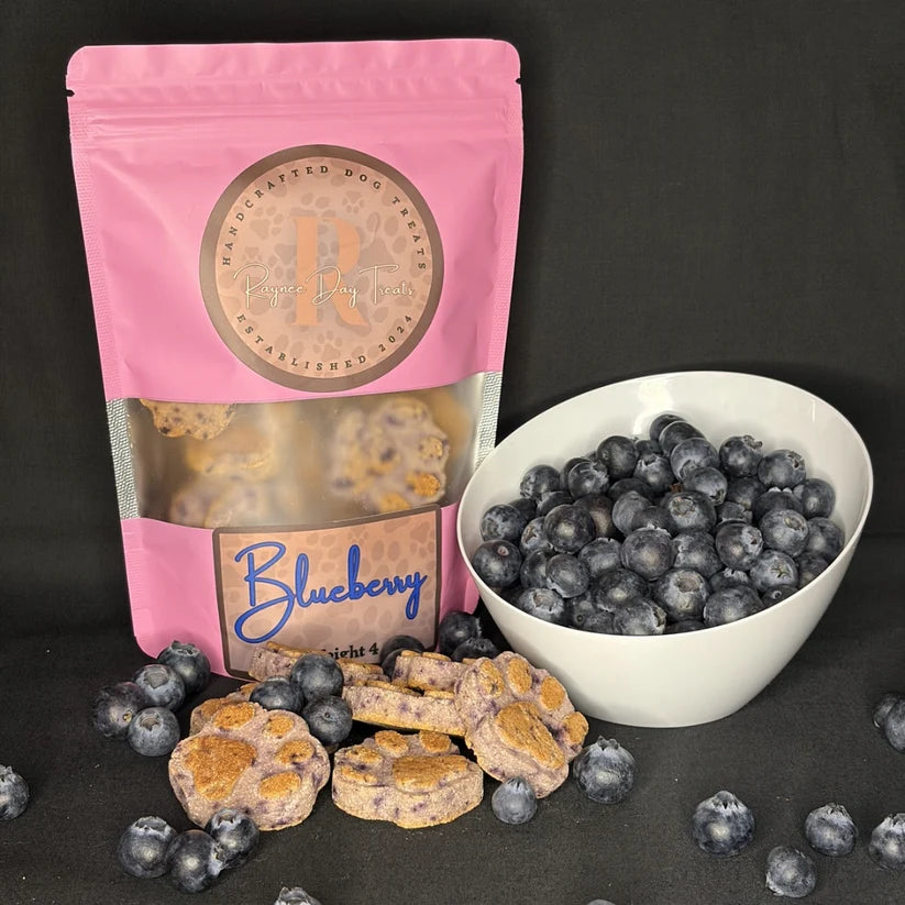 Raynee Day Treats- Blueberry Biscuits