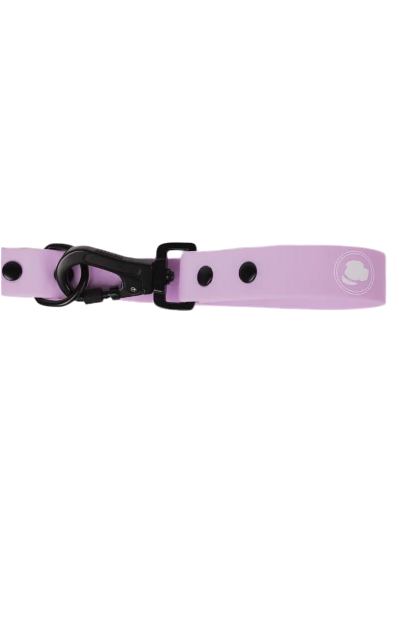 Blush Pink Leash