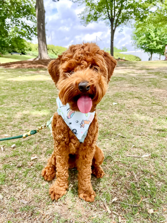 Golfin' Pups Bandanna