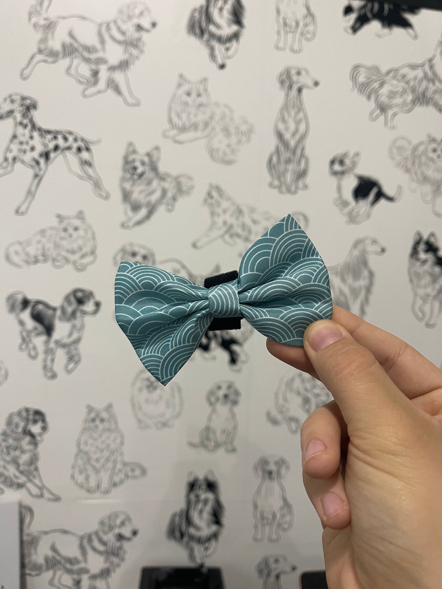 Waves Bowtie