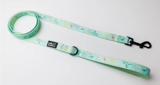 Fabric Dog Leash- Dino Mite!