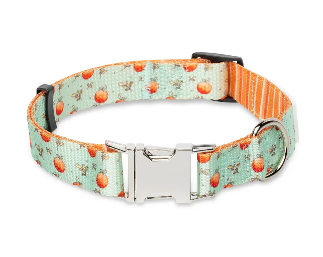 Feeling Peachy Dog Collar