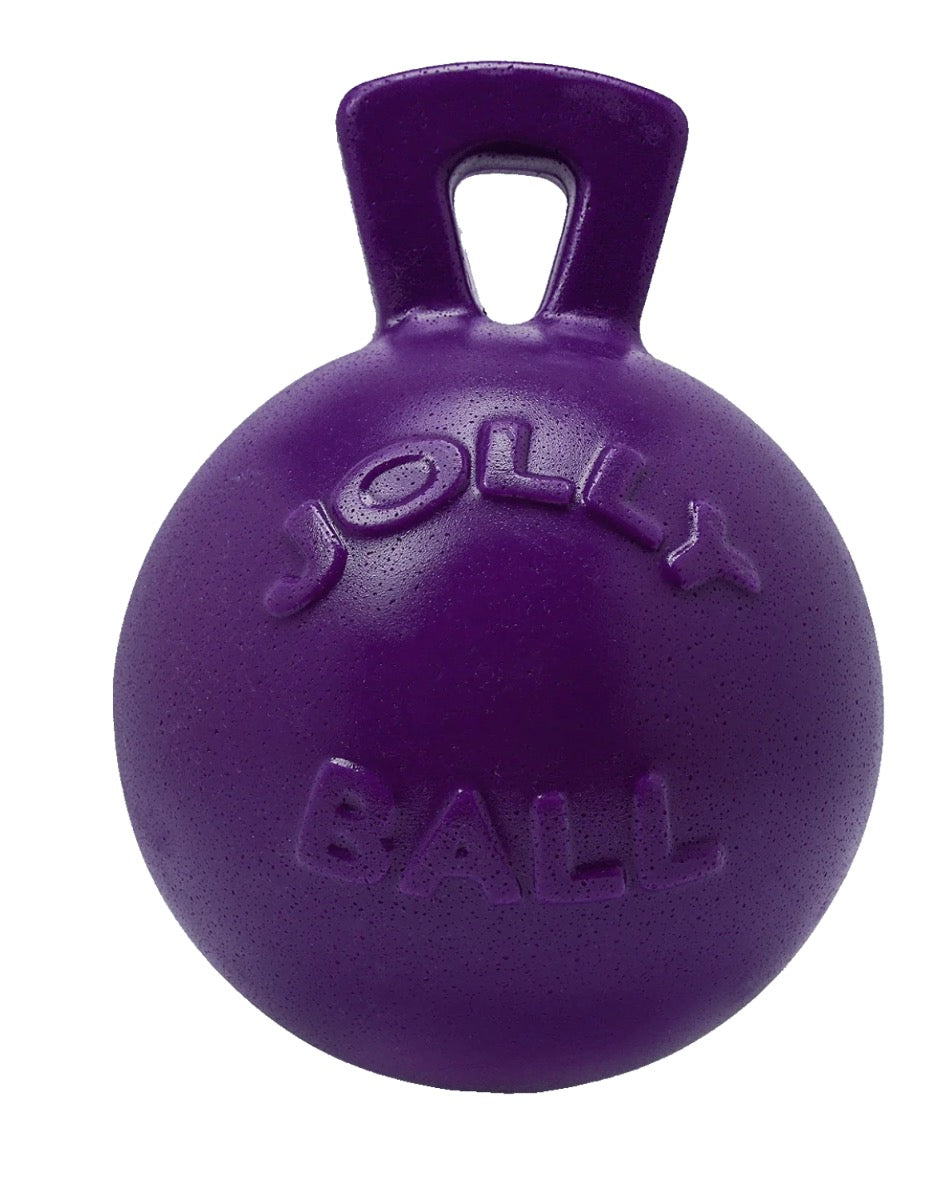 Jolly Ball Tug n Toss 4.5” Purple Dog Toy