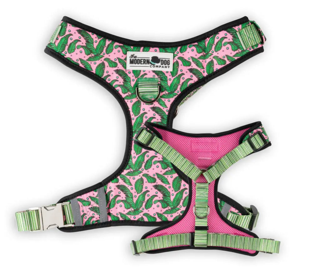 Pink Tropics Dog Harness