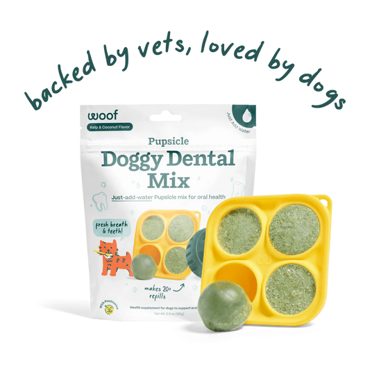 Woof Pupsicle Doggy Dental Mix