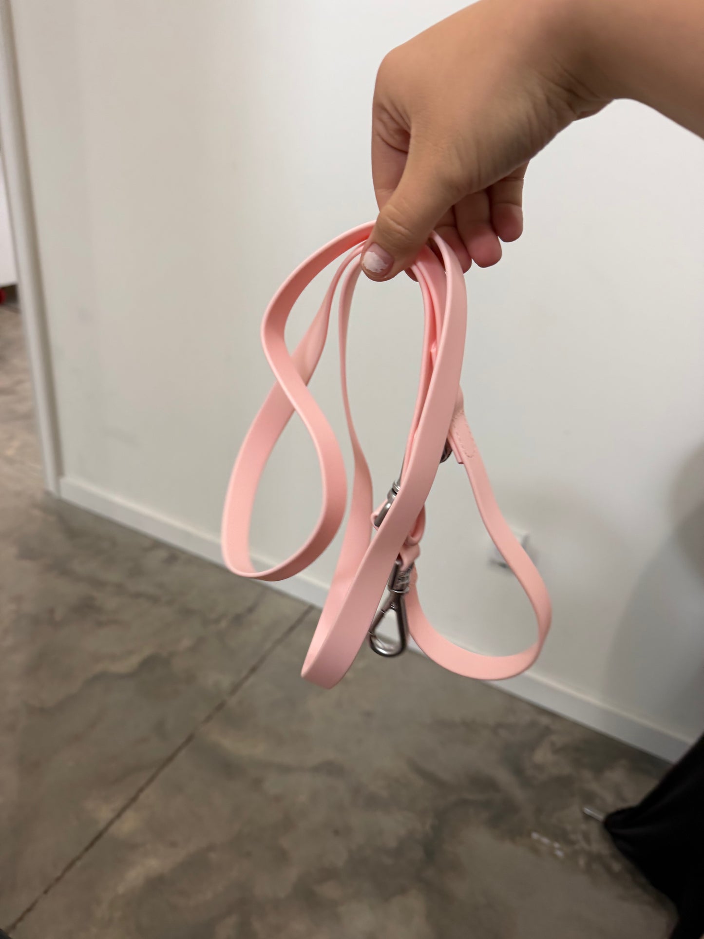 Dog leash Biothane