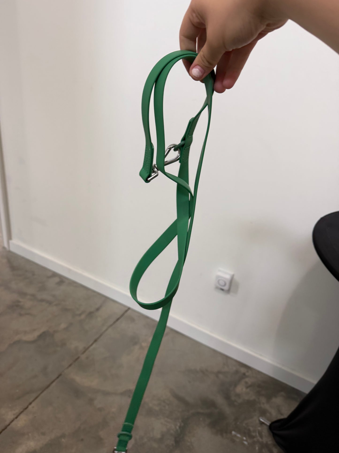 Dog leash Biothane