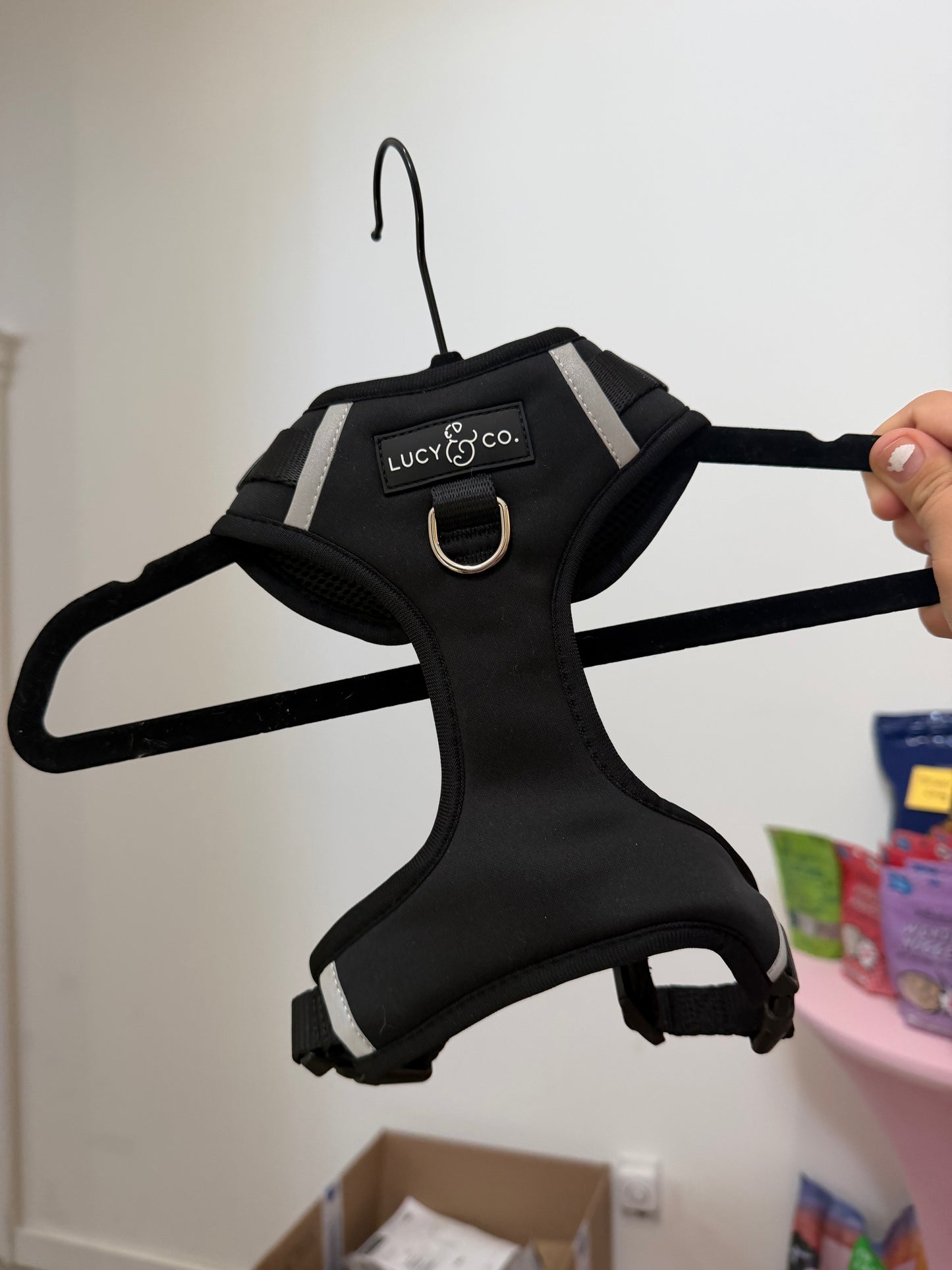 Lucy & Co Midnight No-Pull Harness