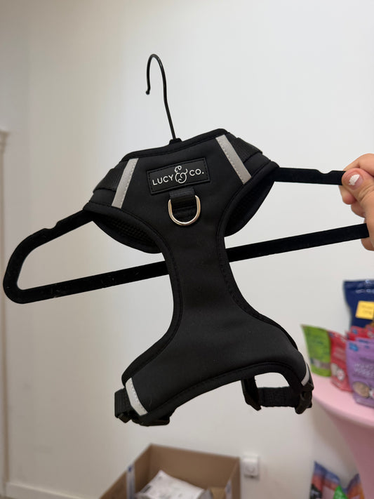 Lucy & Co Midnight No-Pull Harness