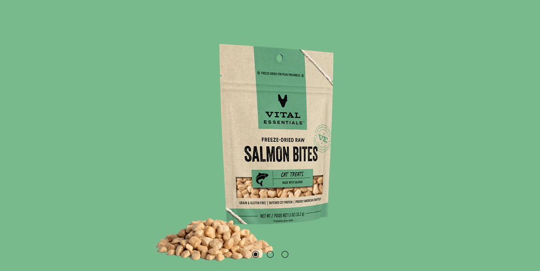 Vital Essentials Salmon Bites Cat Treat
