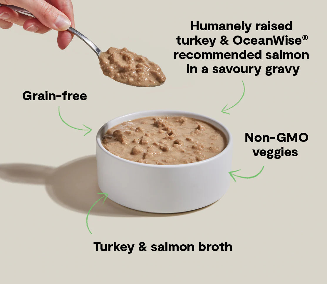 Open Farm Turkey & Salmon Morsels Wet Cat Food
